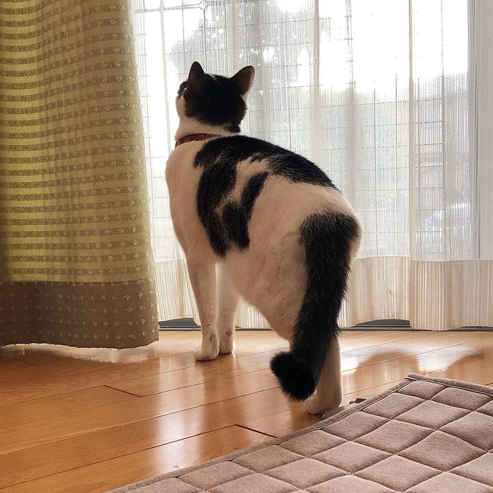 5741da1b 2ab8 4858 92d7 ab41173a0595 1639122497174