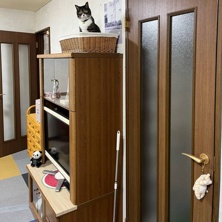 5741dc24 1393 4784 8d79 73465efbed62 1762990552945