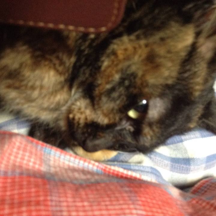 5741dc6f 7e7a 4c6d b521 e25500146583 1520844570074