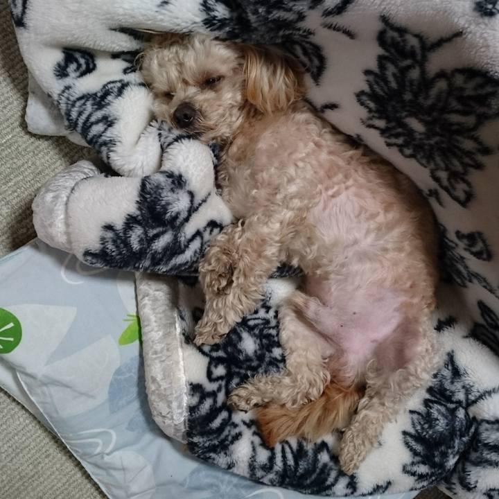 5741f822 37f7 4905 8ad5 cb83318637ec 1553611182050