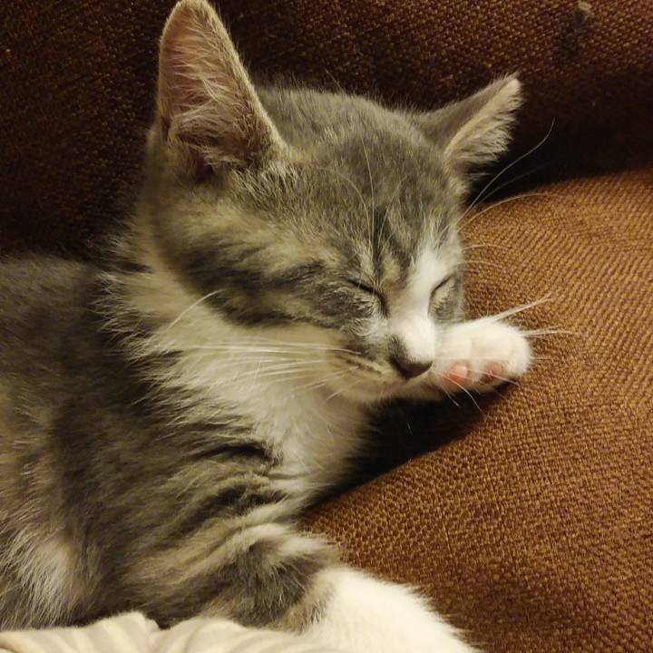 574226e0 d19e 4b35 8202 8eb9a032cc96 1561128574052