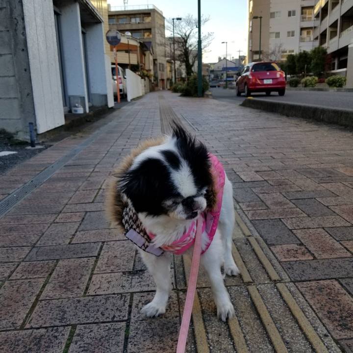 5742487f 3b70 465f 997f cae2ffabb083 1608366366899