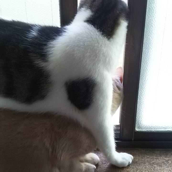 5742986f c6e2 44fa 9c1f 083eac45b651 1520651465083