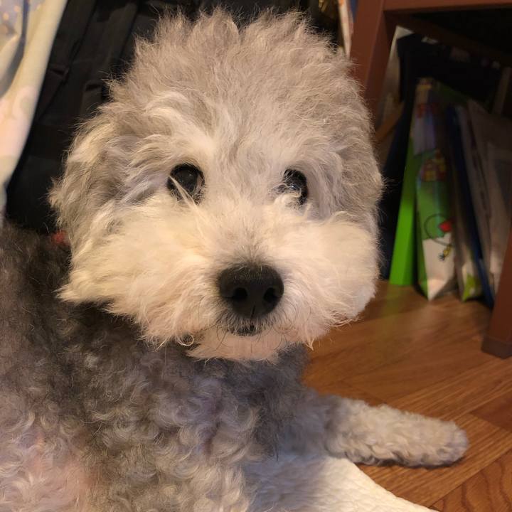 5742a6a0 248d 4466 a9de ce088b10aaa7 1563923860245