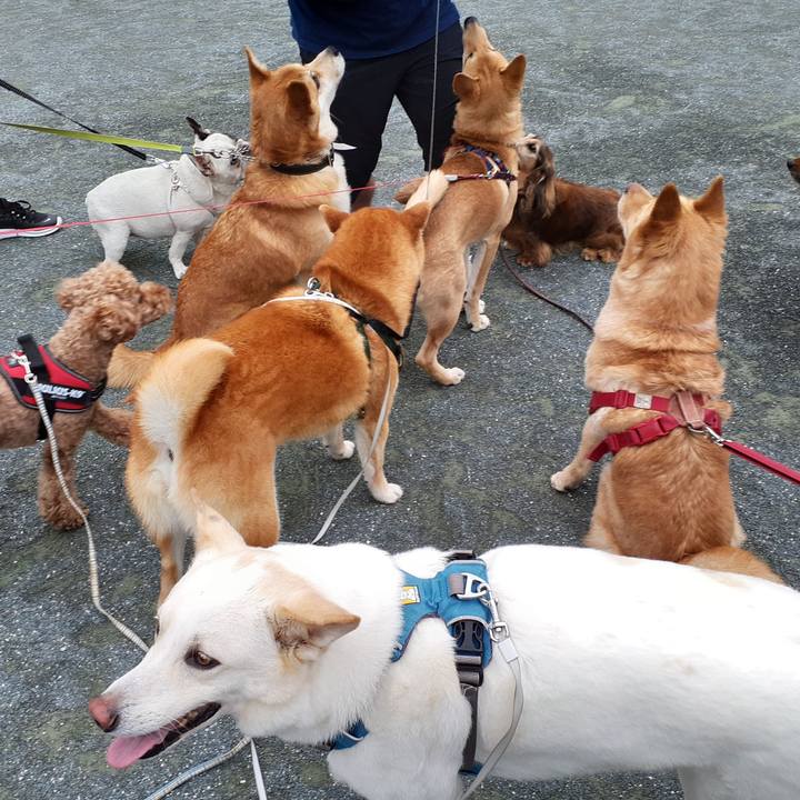 5742c8b8 c840 4234 b523 fd6b1bb4b5f3 1651100784176