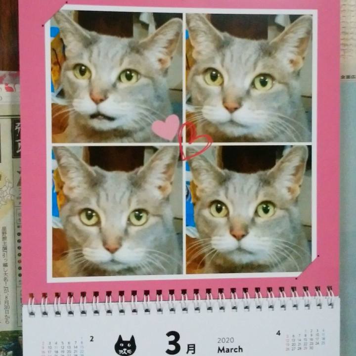 5742d9f9 5ba9 4860 a967 45f739c2046c 1583047651593