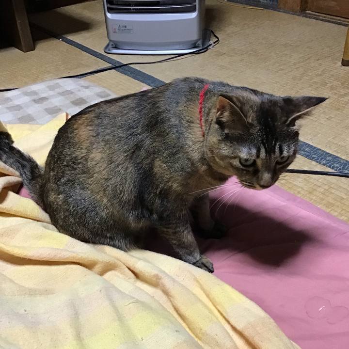 5742dcf3 8535 493c b398 a967f07de528 1672060656163