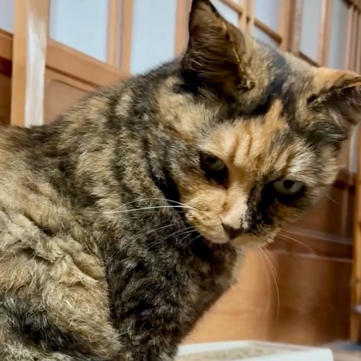 5742e891 7bd1 457a 9aaa 8e8dbae9cf5c 1760597229084