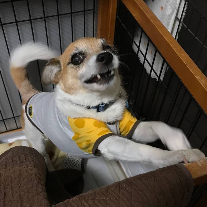 5742f462 1c25 448b 8ff3 7d4289f4ebd5 1589319922214