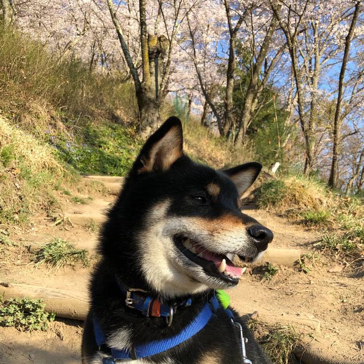 574309c0 b783 4714 b6b3 b030fad31675 1556023070762