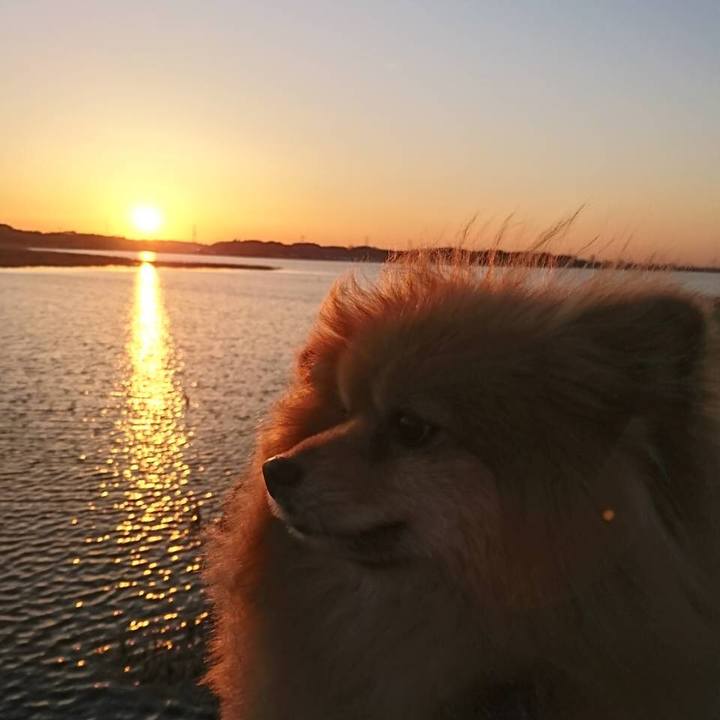 5743915a b784 41d6 81be b8a1a578436a 1549194998109