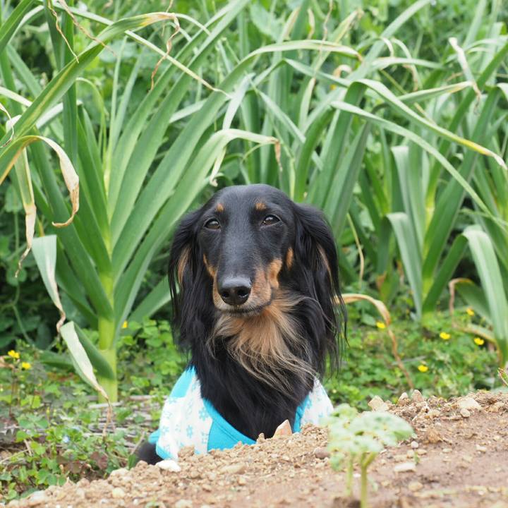 5743b392 58e3 480a 81d1 a951202bfc86 1557378883029