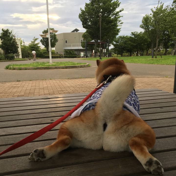 5743d3df 48ad 48f3 9e52 c360b225faa7 1594117573199