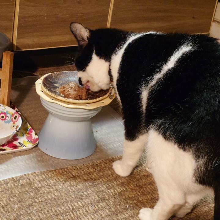 5743e4a9 7638 4dd7 950b fe269abc997f 1759754435457