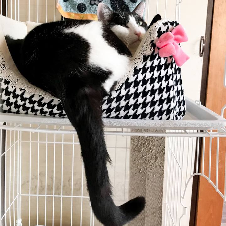 5743f814 9c31 434b b1b3 2cc2f084f741 1520694282197