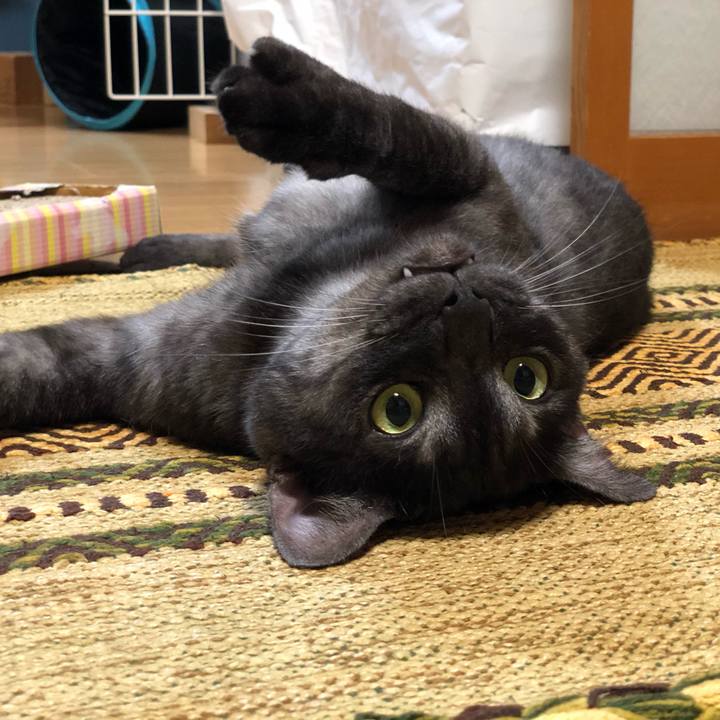 5744068f 32f1 4a0d bb43 e1fcb40a4e20 1596458177681