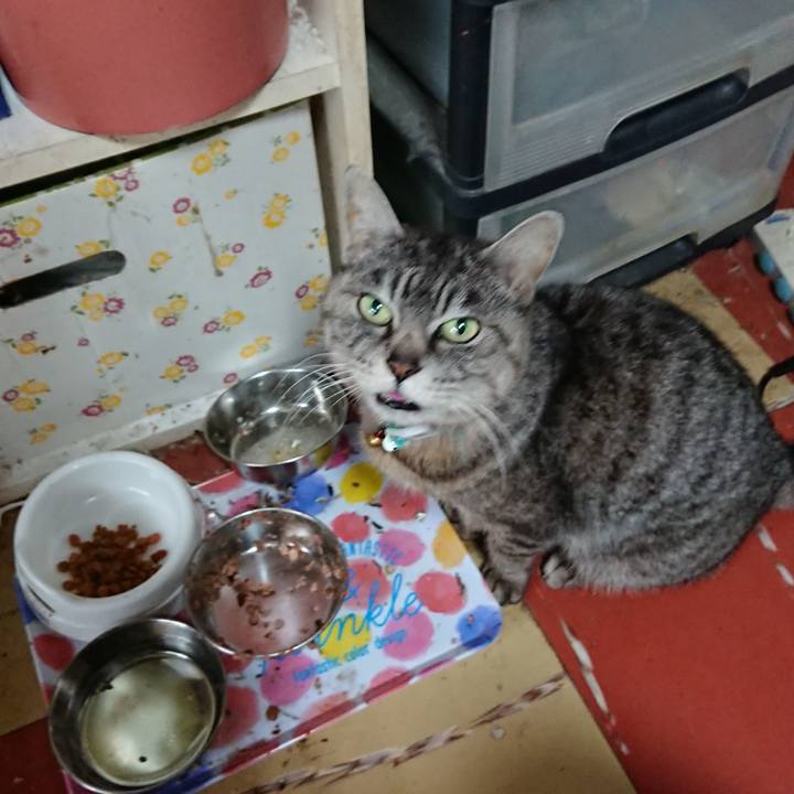 57440eee 38a5 404b b7e0 9705b2999168 1551498225575