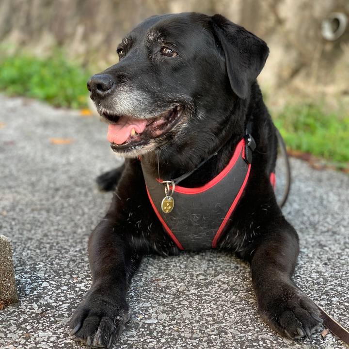 57441f13 9991 47a6 a35a 3bd811bfe0c5 1601513706573