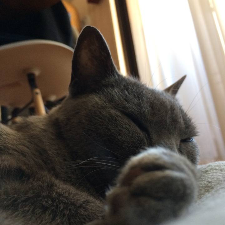 574425d5 b1e5 4594 b9e3 c6ab986f6956 1527114945427