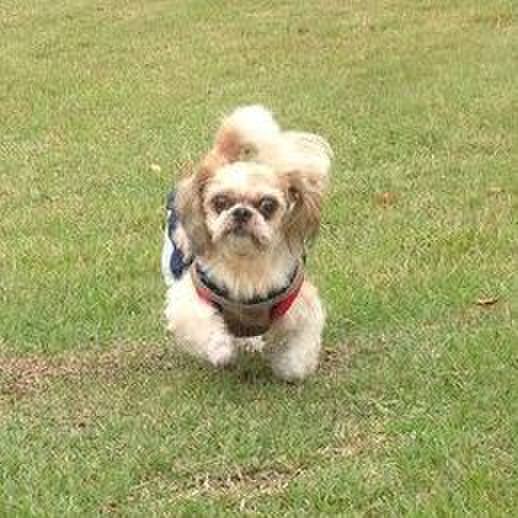 57455271 29d3 4bb1 810b eb63057ce76b 1544156948856