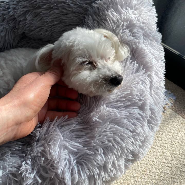 57457c1b 73a7 4431 af6e 706a07e6d6d9 1681688389680