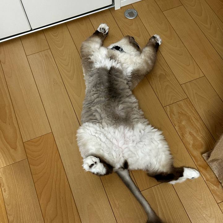 5745c24e 4aa6 4c73 a5be e12b35f5a09c 1691324256238