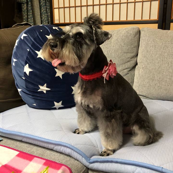 5745e778 374a 4188 83de d8af99283561 1593163120407