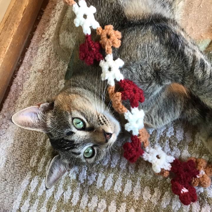 57460e08 d16a 439c aee5 ba293c48530d 1578903458527