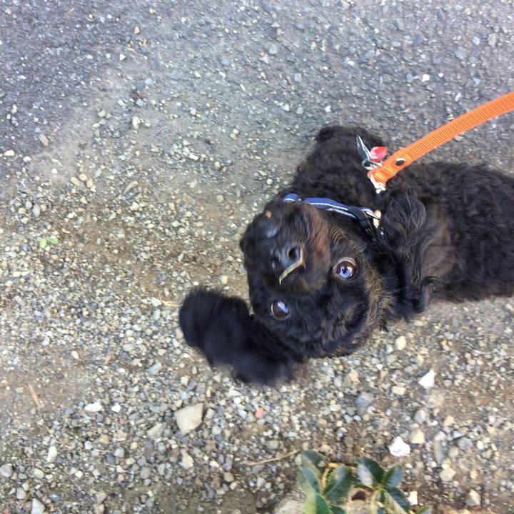 574610de 7e88 4d7f 90e0 65de6a651c3b 1513580905097