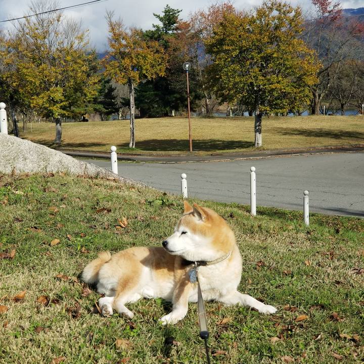 57464685 ff48 4c6a 941c e81b458c2e1e 1699935640028