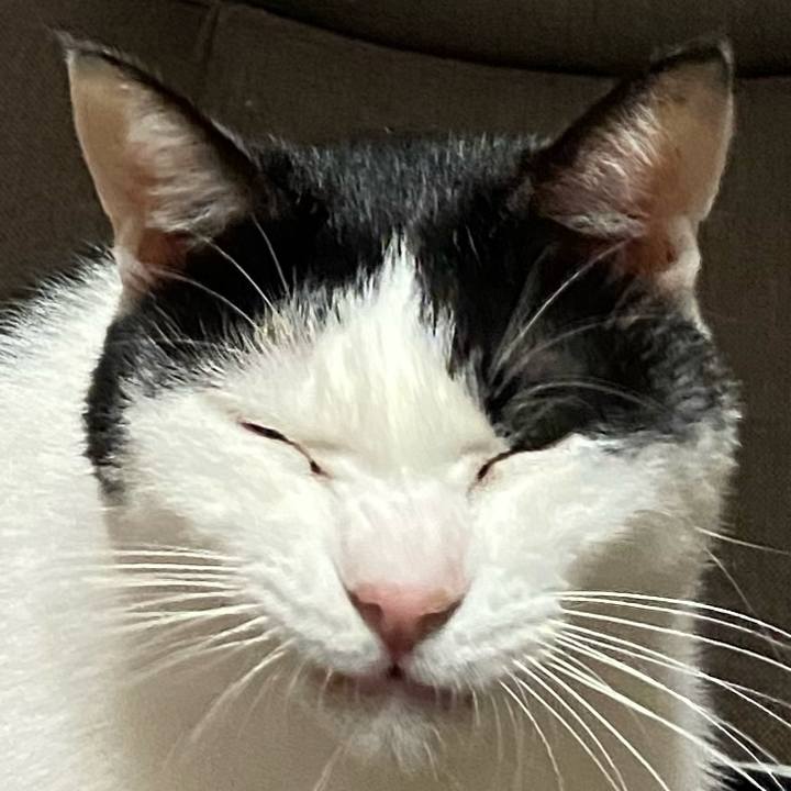 57464dbd 5afa 42fd bba5 a7f1d5259dff 1605438202917