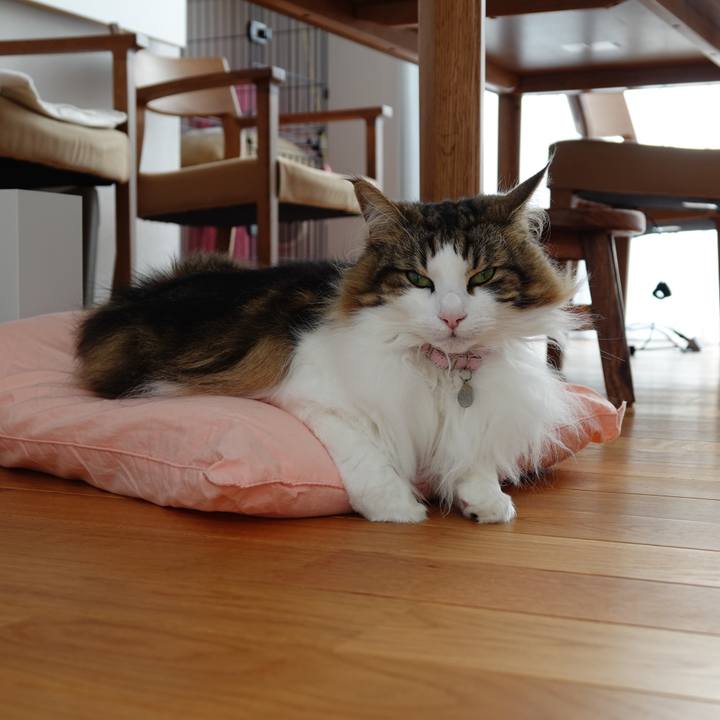 57465ff6 42a0 46d6 9f7f 4049bec67b45 1557752366270