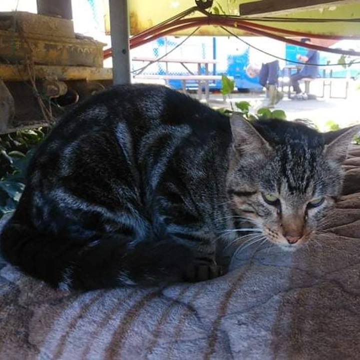 5746a2de 2e9a 4188 ba1e 909b73ca1907 1632224296546