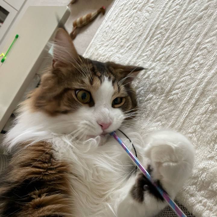 5746a933 8ca6 4b85 8544 002a73ca4f0a 1653164047624