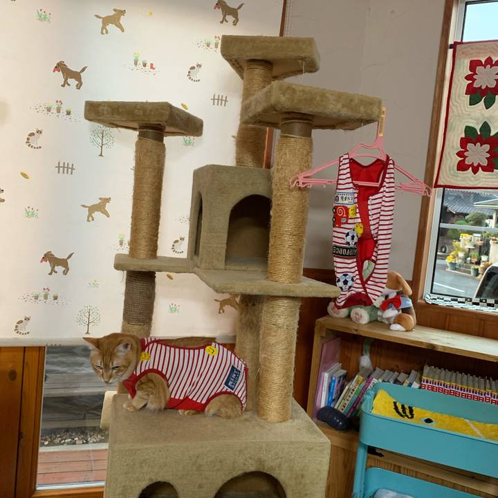 5746aaf6 cf71 4ee3 8266 6a2e6f99357a 1580681887387