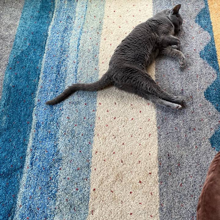 5746b046 22c5 4f51 ba5f d66737629b1b 1626161277745