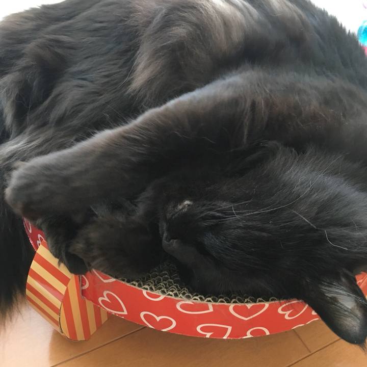 5746b5e2 aa97 49b9 864b 3d10d59a32b4 1525658640922