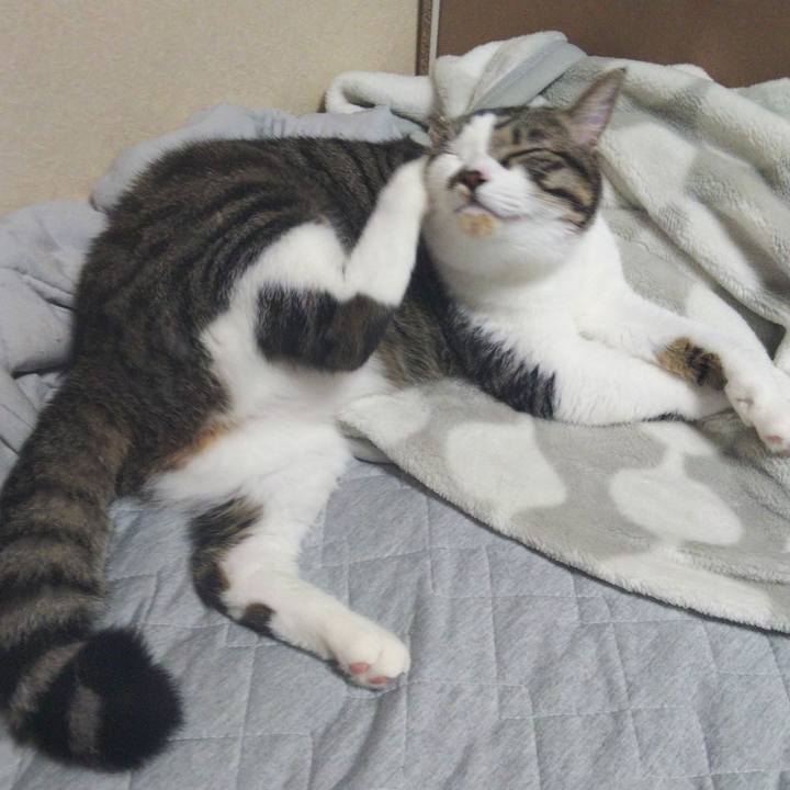 5746c2d8 6217 47c7 b69e c2a3749825c6 1631435317523