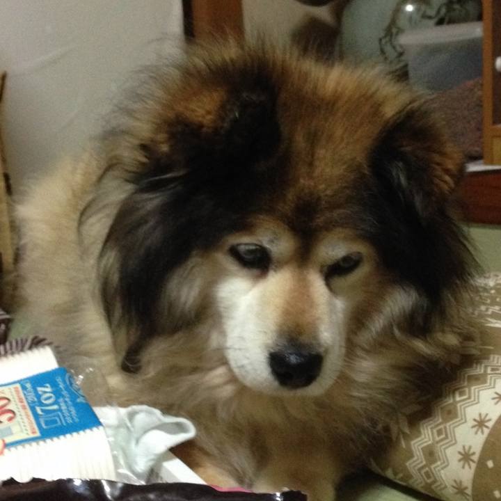 57470419 9965 45ff 8909 28d2339d6bce 1604882910403