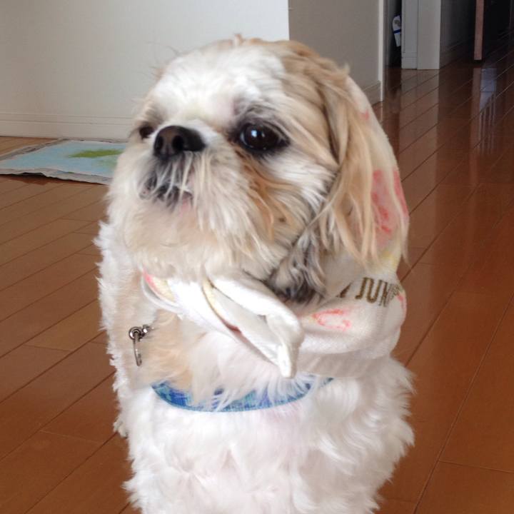 574722a8 d010 4359 9b9f 5dc435d0f3e8 1510263620746