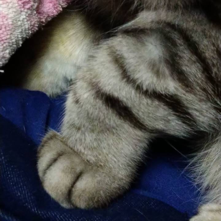 5747533a d174 4ceb a29b 51b7de93ff22 1618582996546