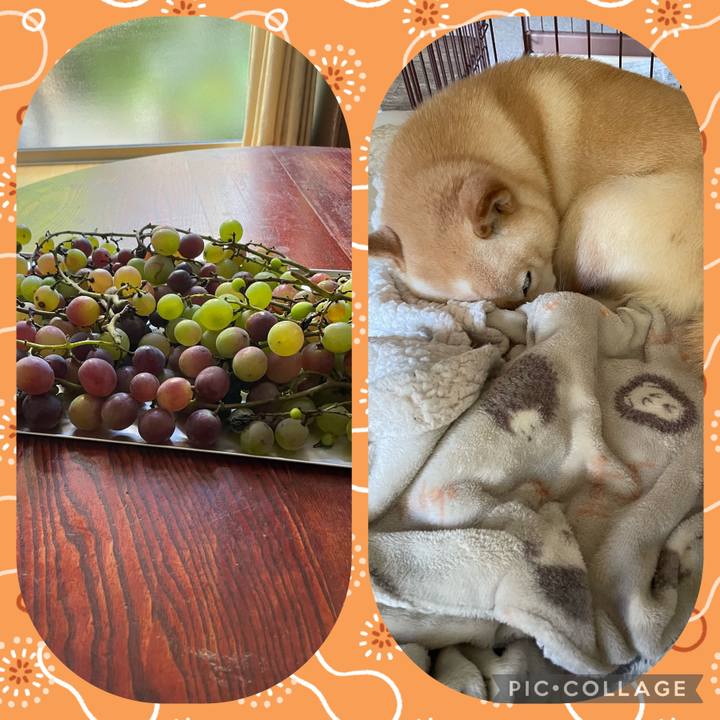 57477805 8199 47fb 80d2 843158ed9683 1666757630419