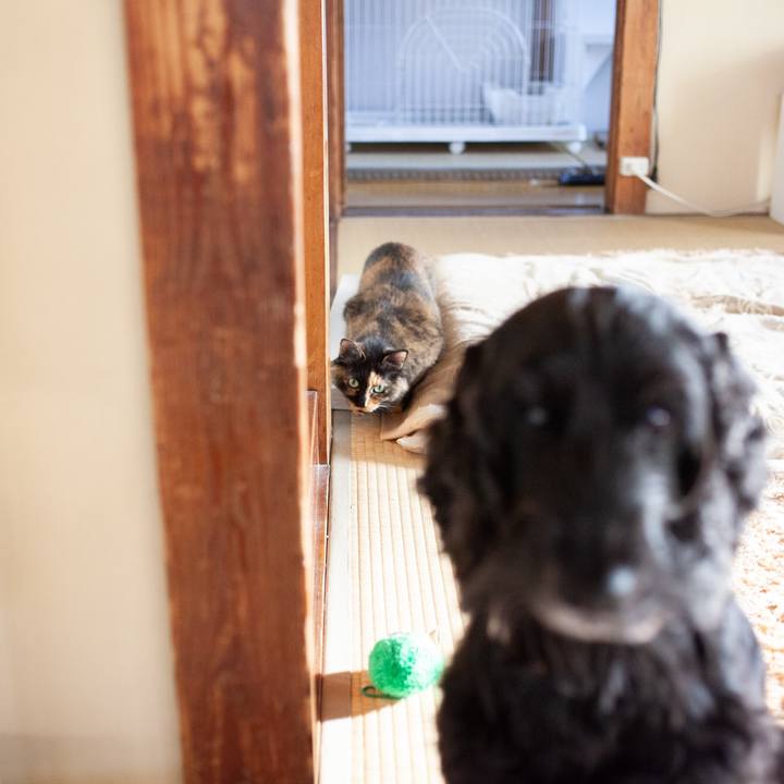 574782bb a7cb 4bbf 9383 cf19a6894d3c 1580691258743