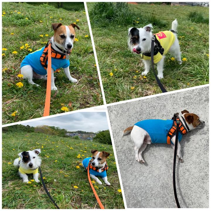 5747adab d538 4c9e 8cbe d32ed21b2071 1587433060480