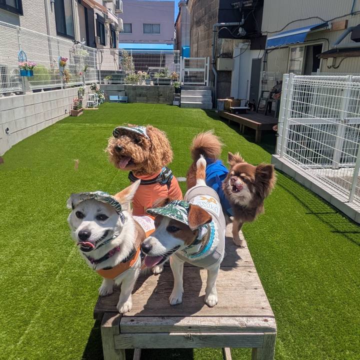 5747ee1d 2ec7 48b5 9815 9df8b1930c01 1753170398857