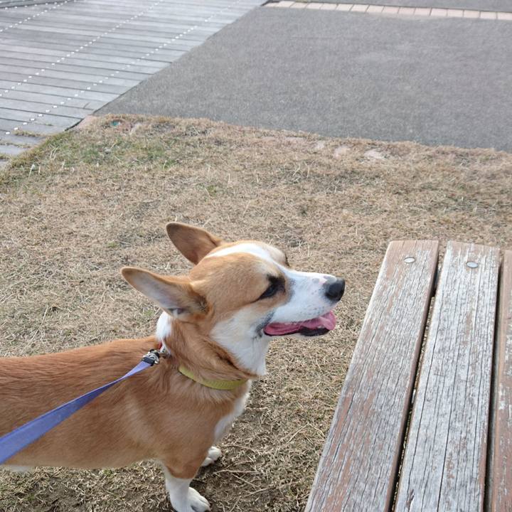 57480be9 8b75 410f 839a c0a28e7727c8 1576312491641