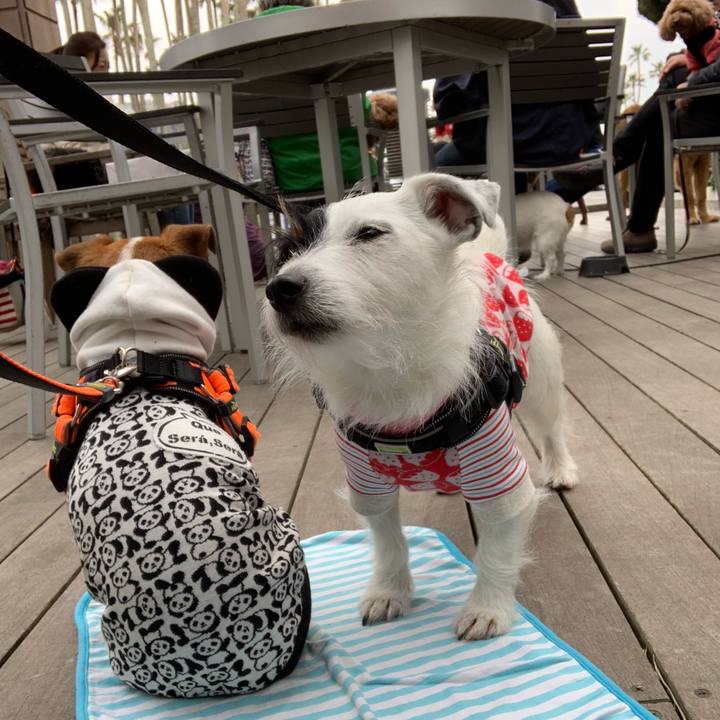 574827d9 651a 40d4 81cc 48f1c0cca732 1553911314712