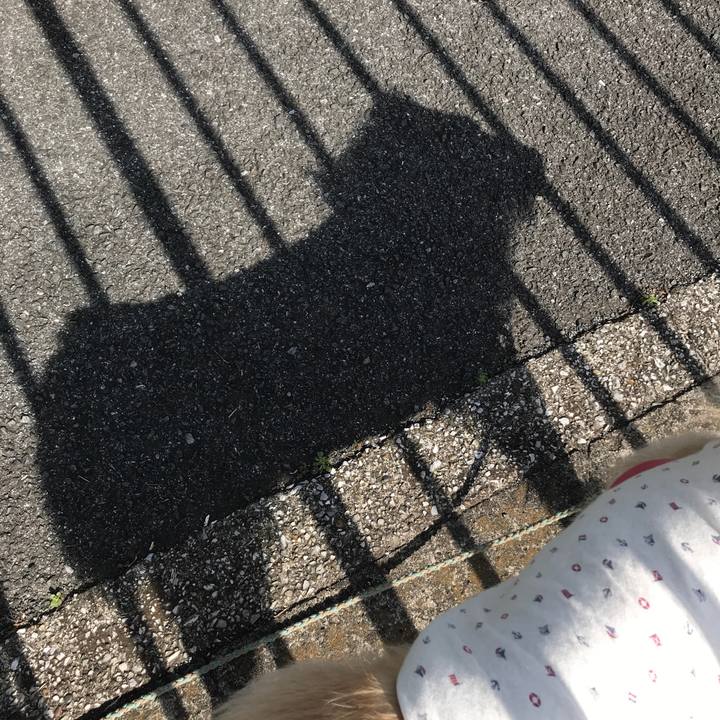 57482931 675d 4899 b3f1 4a576be454d4 1584079875913