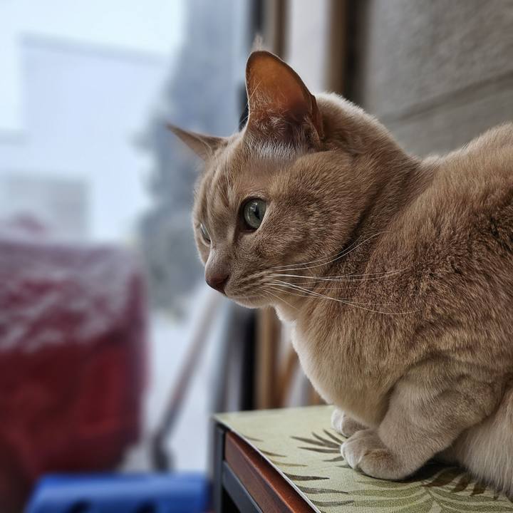 57482e5f 64c2 4c05 8749 4ff70b355c15 1739242342668