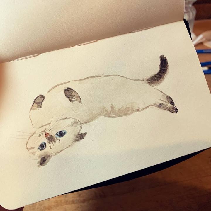 57485276 7880 44ed 9f25 caedf5c1a3c0 1644663721557